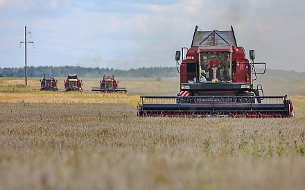 Белорусские аграрии намолотили более 5,8 млн тонн зерна
