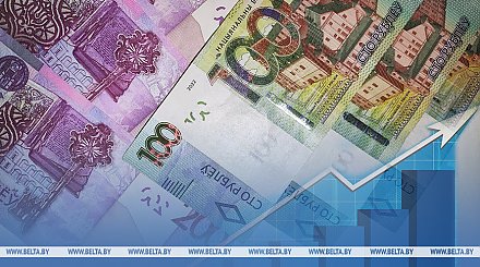До Br9,8 тыс. Субсидии на организацию своего дела вырастут с 1 ноября в Беларуси