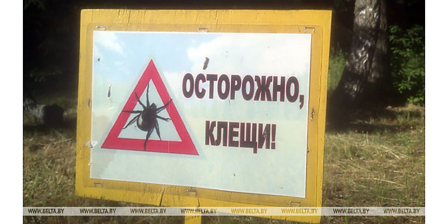 Всплеск активности клещей ожидается к концу лета - Минздрав