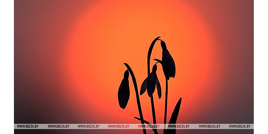 Сильная магнитная буря наблюдается на Земле