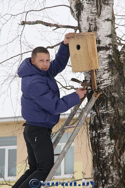 Поможем пернатым друзьям!
