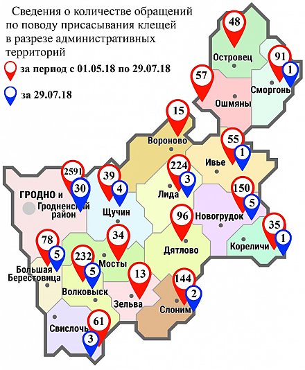 С начала мая в области по поводу укусов клещей обратились 3963 человек, в том числе вчера, 29 июля – 60 человек