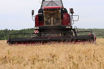 В Вороновском районе завершена уборка озимого ячменя
