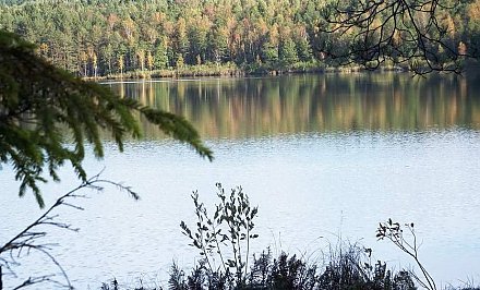 Healing sphagnum, crystal water and a memorial monastery