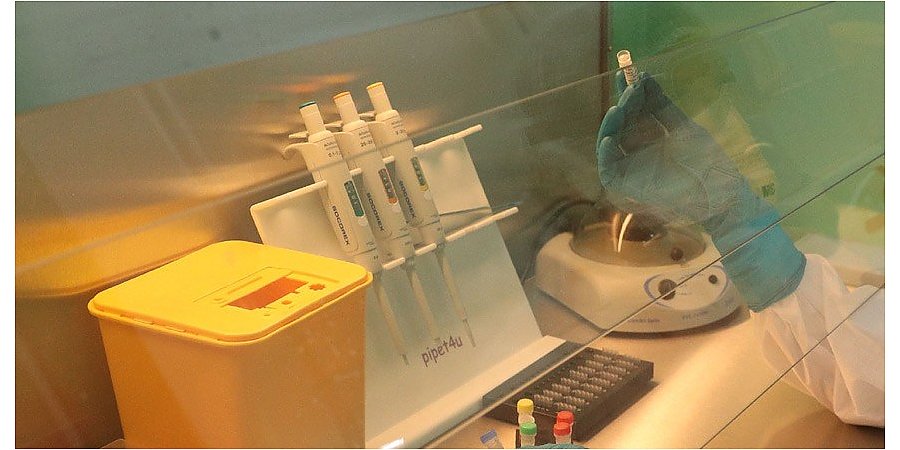 Иммунитет против коронавируса у переболевших может сохраняться в течение года