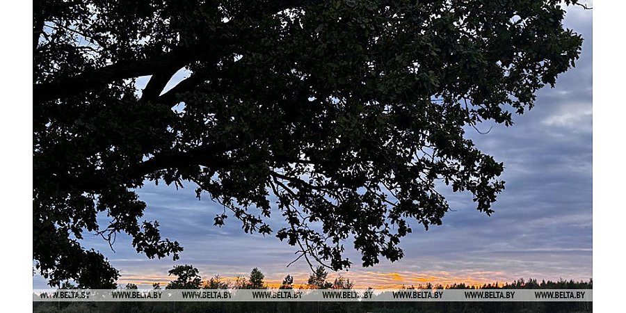 МЧС предупредили о факторах опасности в связи с резким похолоданием