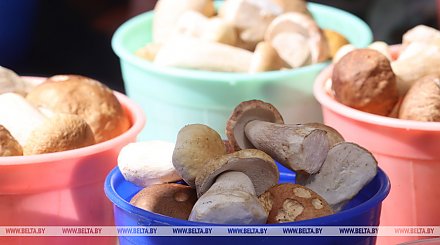 В каком случае необходимо платить налоги после продажи грибов и ягод?