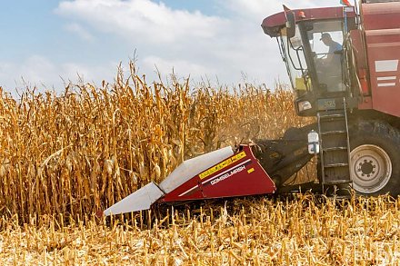 Почти 9,4 млн тонн зерна с учетом рапса и кукурузы намолотили в Беларуси