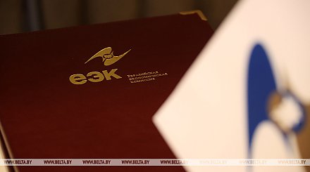 ЕЭК готовит комплекс мер по защите рынка ЕАЭС от контрафакта