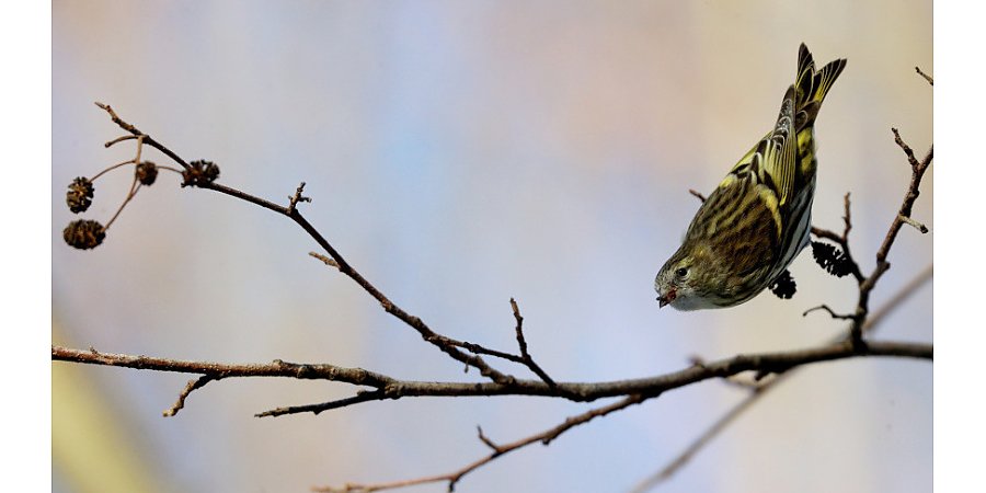 Белгидромет: 2023 год стал одним из самых теплых за весь период наблюдений в Беларуси