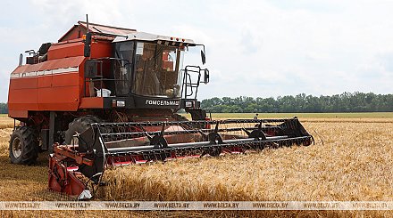 Минсельхозпрод об уборке зерновых: ожидаем урожай выше уровня прошлого года