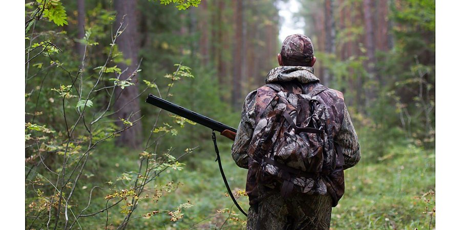 Вниманию охотников. Уже завтра в Беларуси откроется охота на медведя