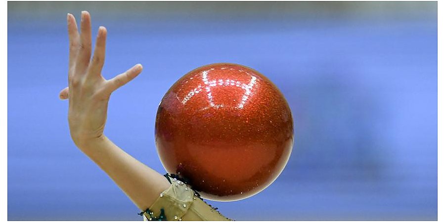 Александр Лукашенко поздравил белорусских гимнасток с успешным выступлением на чемпионате мира в Японии