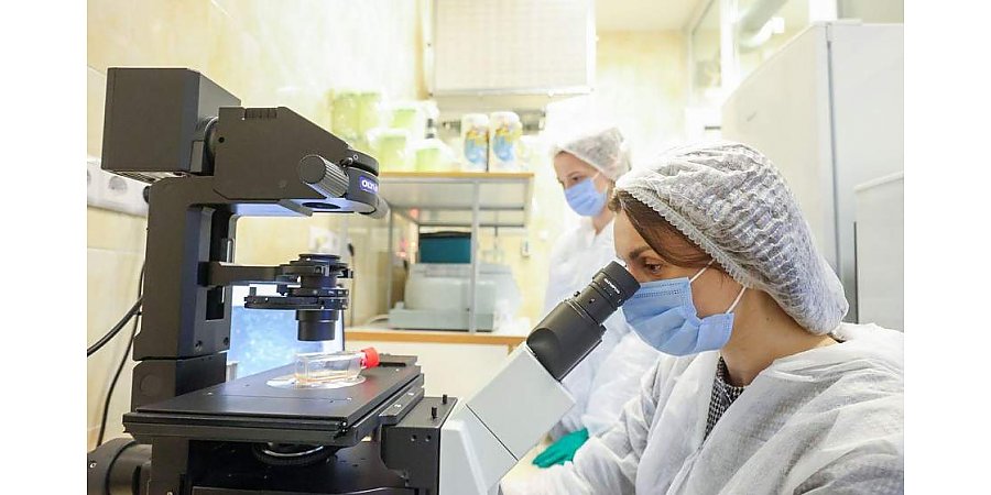 35 миллионов рублей на поддержку инноваций: государство стимулирует создание новых технологичных производств