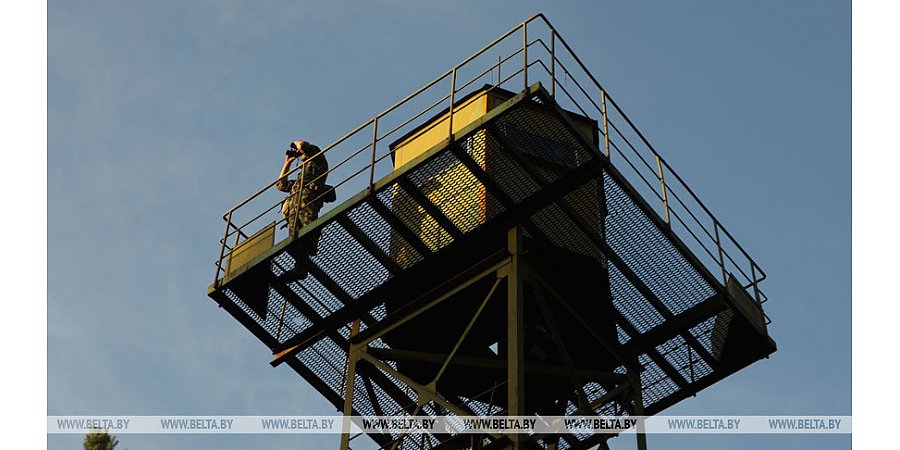 Литовские пограничники вытолкали семерых граждан Ирана на территорию Беларуси
