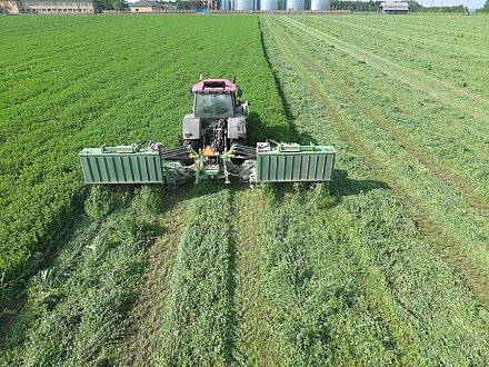 Первый укос трав проходит в сельхозпредприятии «Дотишки»