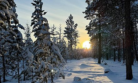 Южный циклон принесет в Беларусь снег, дождь и гололед, но Гродно минует