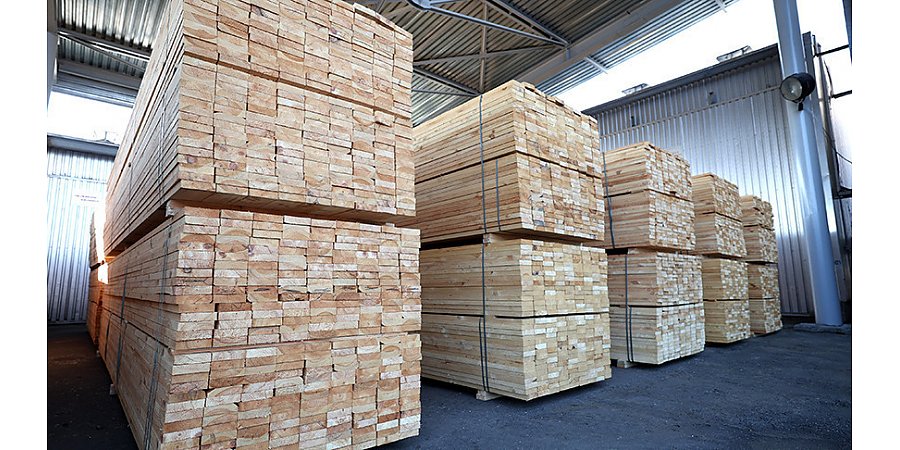 Александр Лукашенко во время рабочей поездки в Витебскую область посетит Оршанский лесхоз