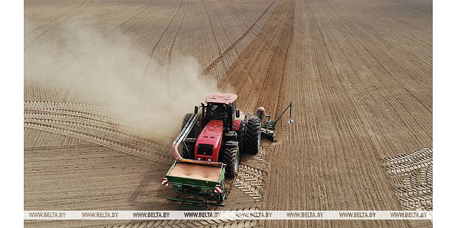 В Беларуси посеяно 67% яровых культур