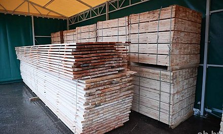 В 2023 году лесхозы Беларуси нарастили экспорт пиломатериалов почти на 40%