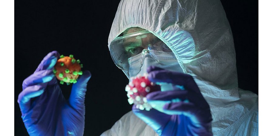 В Бразилии обнаружили новый вариант штамма коронавируса
