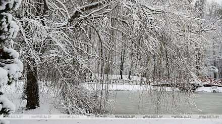 Гололедицу и до -26°С прогнозируют в Беларуси 7 января