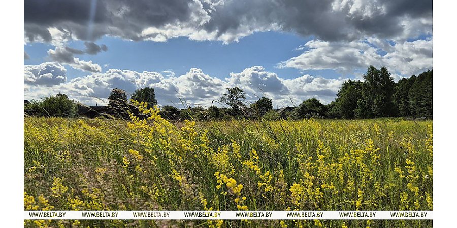 Сильный ветер и до +25°С. Какой погоды ждать в Беларуси в первый день июля