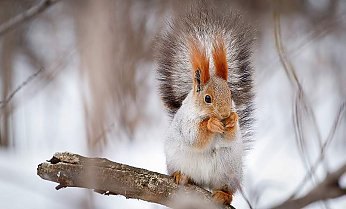 До +7°С ожидается в Беларуси 6 декабря