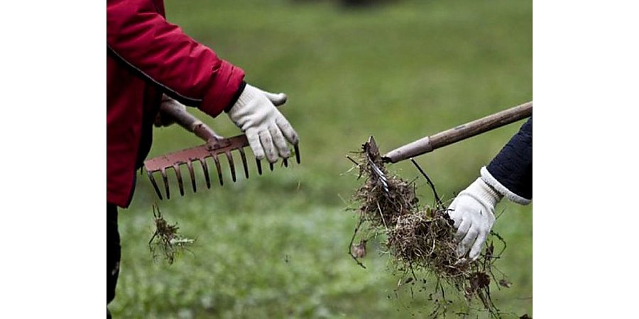 Чисто не там, где убирают, а где не мусорят