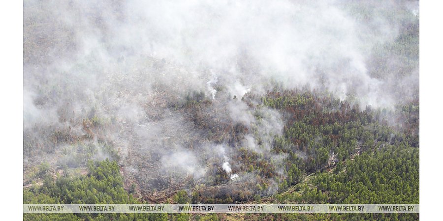 Сильный смог накрыл Москву