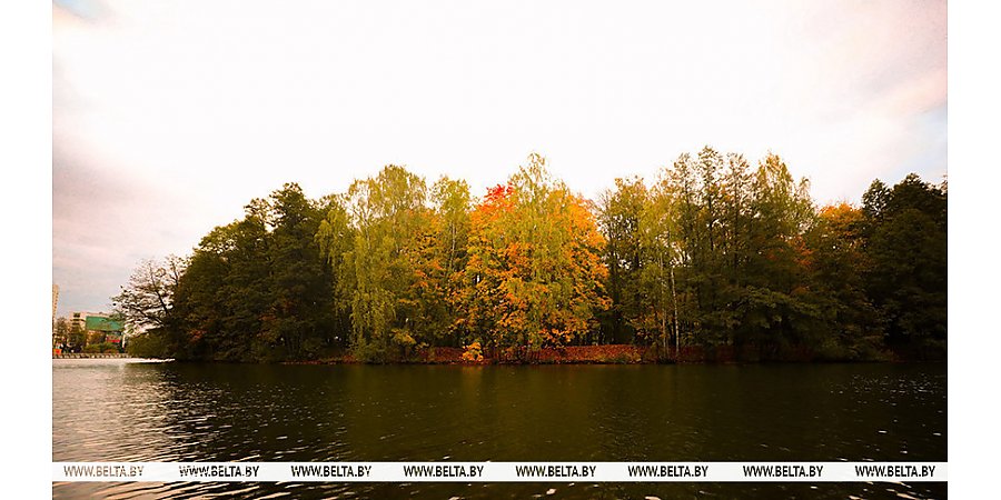 Порывистый ветер и дожди. Чего ждать от погоды в Беларуси 12 октября