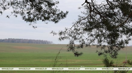 Чего ждать от погоды белорусам 17 марта, рассказали синоптики