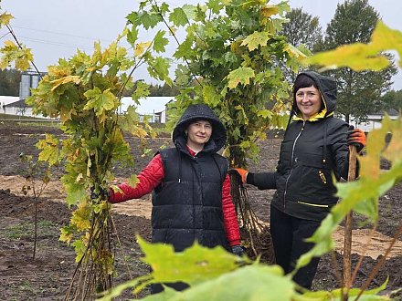 Несколько сотен деревьев высадили в агрогородке Гирки в рамках Единого дня озеленения