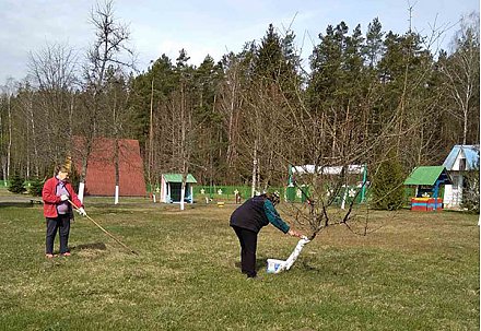 На субботнике вороновчане благоустраивали «Ромашку»