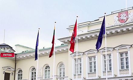 Президент Литвы заявил о готовности страны построить атомную электростанцию