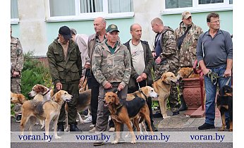 В Вороново прошла 38-я Гродненская областная выставка охотничьих собак 