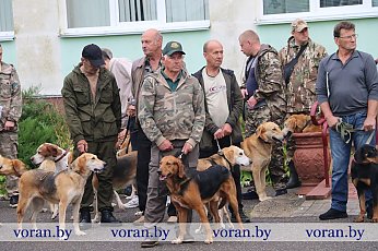 В Вороново прошла 38-я Гродненская областная выставка охотничьих собак 