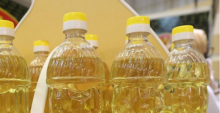 Сахар и растительное масло, семена и травянистые корма. Насколько Беларусь обеспечена своей продукцией?