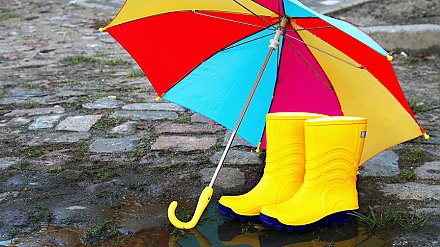 Дожди и до +16°С ожидается в Беларуси 10 ноября