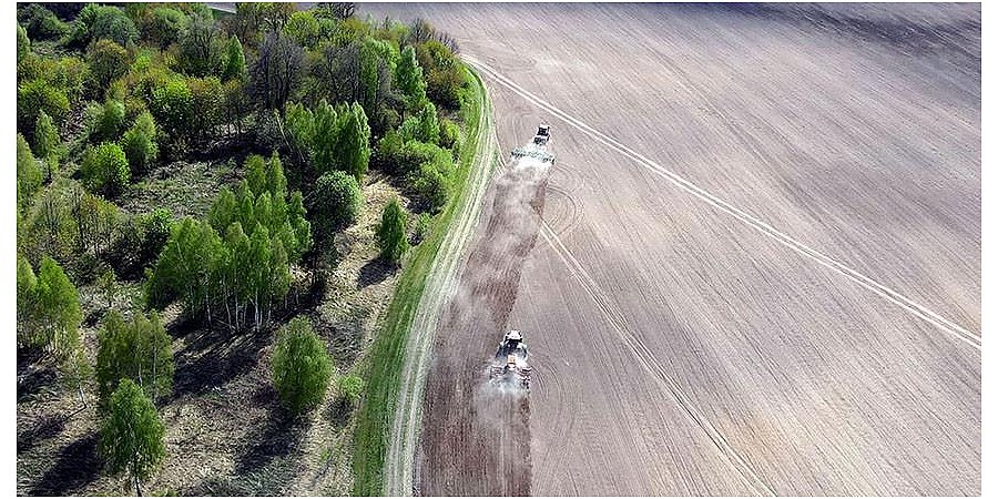 В Беларуси завершается сев ранних яровых