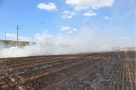 Возгорания посевов и зерносушильных установок тушат спасатели