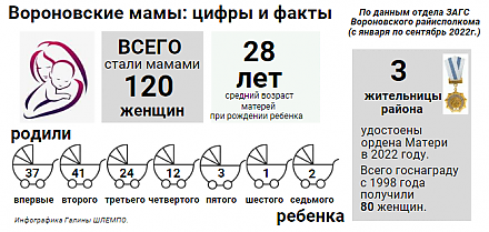 Вороновские мамы: цифры и факты (инфографика)