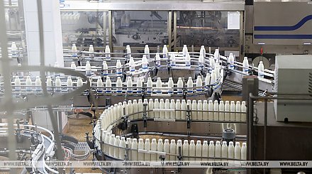 Правительство взяло на особый контроль ценообразование на мясо-молочную продукцию и кондитерские изделия 