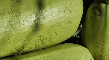 Что приготовить из кабачков