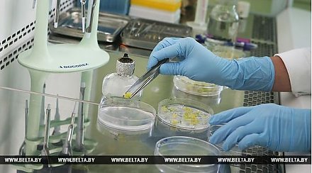 Прием граждан провел в Гродно Помощник Президента Республики Беларусь – главный инспектор по Гродненской области Сергей Ровнейко