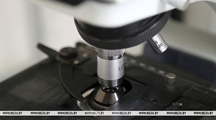Какие прорывные направления в медицине будут осваивать ученые НАН в новой пятилетке