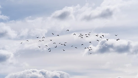 Испеките «жаворонков»: народные приметы на 14 марта