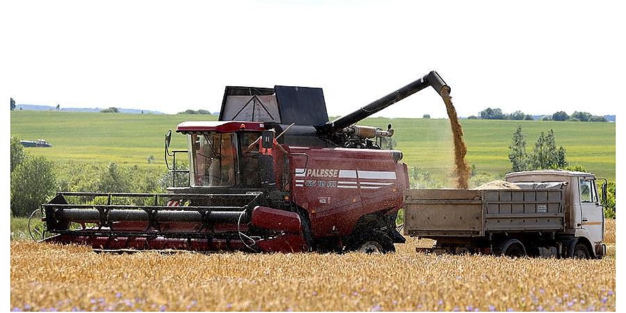 Озимый ячмень в Беларуси убран почти на 93% площадей