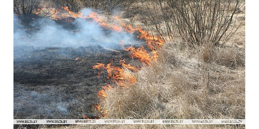 В Гродненской области спасатели дважды за минувшие выходные тушили весенние палы