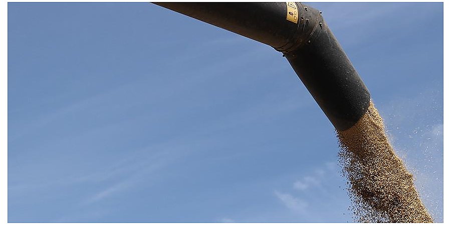 В Беларуси намолочено 8,8 млн т зерна с учетом рапса